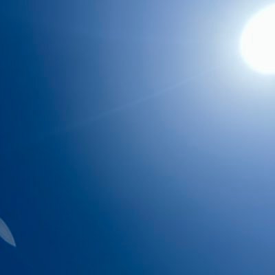 jackmarumaru's profile picture. 何かを作ったりしてるけど何も発表していない謎の人
そのうちなにか載せるかもしれません
サブ垢(避難所)→@kohakujackmaru