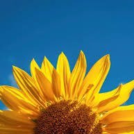 gab_alencaster's profile picture. Yo soy lo que ves, no soy más que vida.