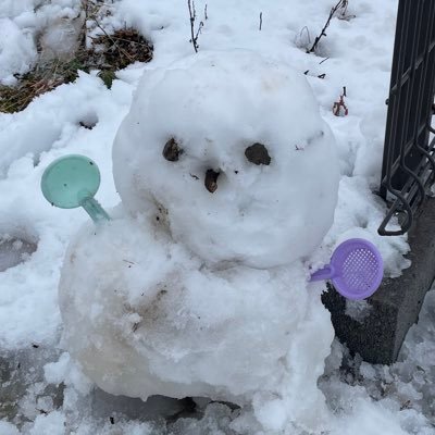 ゆきだるまさんのプロフィール画像