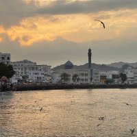 قلم رصاص (@amal_harthi) 's Twitter Profile