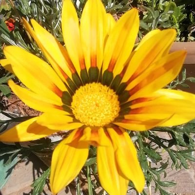 Fadimesevindik2's profile picture. 