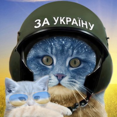 riverdnipro's profile picture. ☀«Гірше ніж москальські воші🦗 можуть бути тільки українські гниди»🕵️‍♂️ ©Симон Петлюра🇺🇦
Боже, бережи Україну і всіх ії захисників🙏