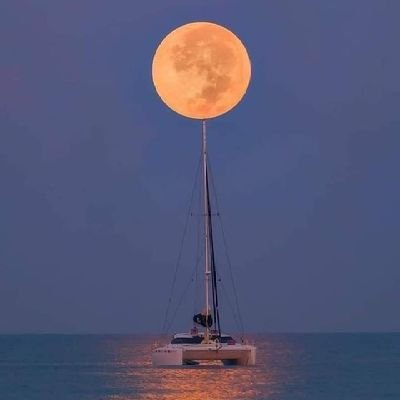 Xboxgaming7137's profile picture. love ❤️ care ❤️