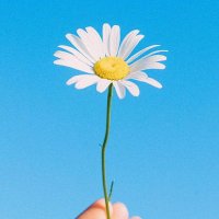daisyvts (@daisyvts) Twitter profile photo
