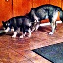 Jeremiah Brewster - @tshilenga - Twitter