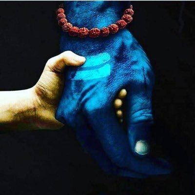 HiFli14462's profile picture. 