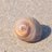 sunnsandbeach's profile image