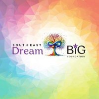 Dreambig Foundation SE CLG(@DreambigProject) 's Twitter Profileg