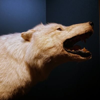 成人済み。
ドール、アニメとゲームなどの雑多垢
ゲーム大好き。FF16/ドラゴンズドグマ2/
モンハンワイルズ新米ハンターやってます。
地雷なし。