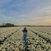 A (@cometes13) 's Twitter Profile