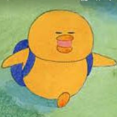 ぴよっこ🥚 (@APiyokko38516) / Posts / X