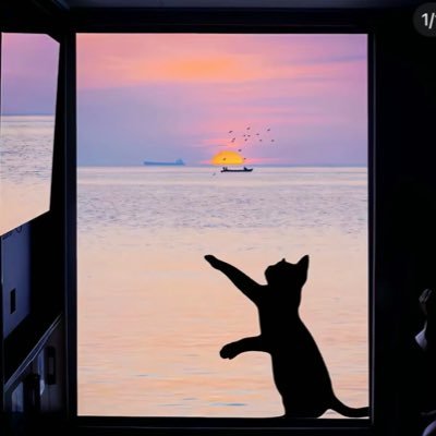 slee040689's profile picture. 
