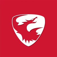 Skyeton (@skyeton_inc) 's Twitter Profile
