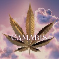 Camabis (@cnftcamabis) 's Twitter Profile