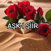 AŞK-l ŞİİR(@Askisiirr) 's Twitter Profile Photo