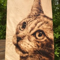 Charred Wood (@charredwooduk) 's Twitter Profile Photo