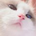 (slow) bestboy (@27dec__) Twitter profile photo (slow) bestboy (@27dec__) Twitter profile photo