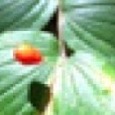 Mary Beth Dykes - @mbd1489 - Twitter