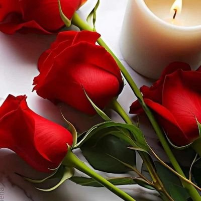 soukotman's profile picture. بی پایان