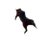 fallcatsol's profile image