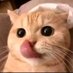 pasukan coli🤣🤣🤣 (@julians38259664) Twitter profile photo pasukan coli🤣🤣🤣 (@julians38259664) Twitter profile photo