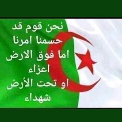 Hamoudi algérie