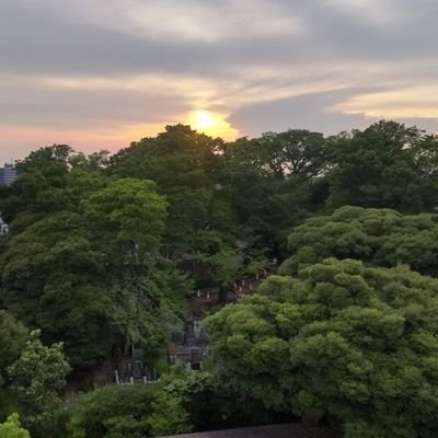 世紀末さんのプロフィール画像