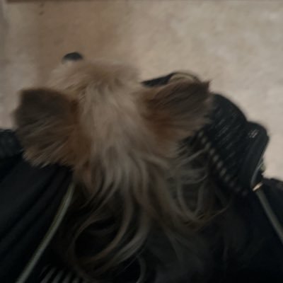 srbaaoc_hr's profile picture. HCIも行動変容も機械もなんもわからない |#SecHack365'24 | #GCISummer2025