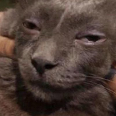 lelah_hidup's profile picture. kumon drop out | company overhead| temennya @RifkiAchmadS | minta duit: https://t.co/8pdrZr8jPh