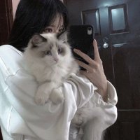 Why should you love cats(@ManatoKoko11353) 's Twitter Profile Photo