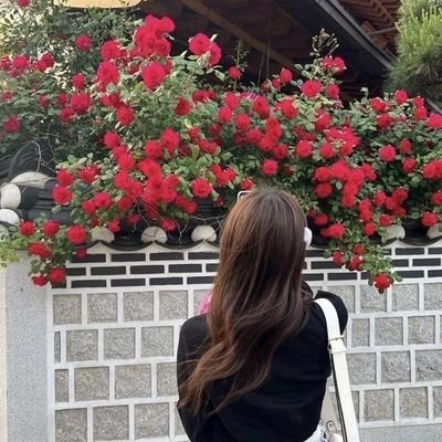 miki46579125994's profile picture. 