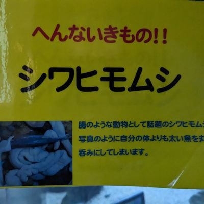 @D3Oj0h←表
へんないきもの！！
あるもの→夢主の裏話　年齢制限が必要な話（非倫理、エログロ）　より強めの自我