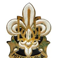 Ukrainian Scouting World Wide (@plastww) 's Twitter Profile Photo