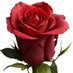 00967776568864. fatnh (@fatnh794101) Twitter profile photo 00967776568864. fatnh (@fatnh794101) Twitter profile photo