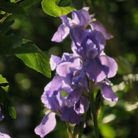 piel e soleil (@piel_e_soleil) Twitter profile photo