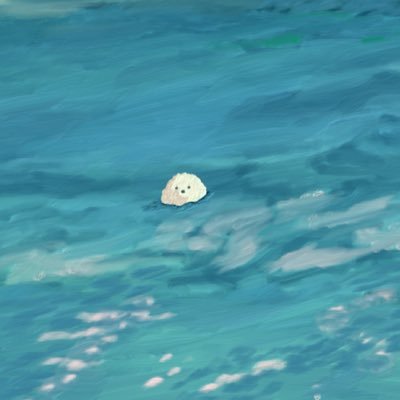 molbee🌕さんのプロフィール画像
