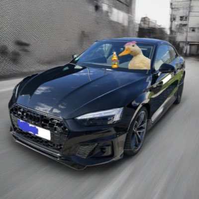 quacotov's profile picture. 