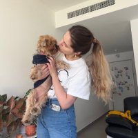 Maiia Levinson (@levinsonmaiia) 's Twitter Profile