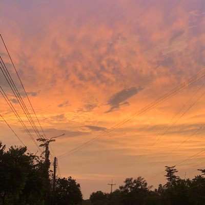 JBjane68421's profile picture. 