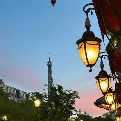 Sihame84522288's profile picture. 