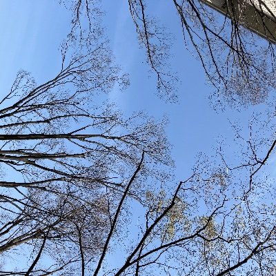 yishiki_555's profile picture. 東京都立大学ポスドク, 数学者．幾何学．トポロジー