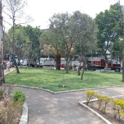 ParqueCuauhtemocToriello Profile