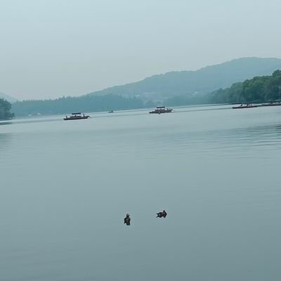 li_sheng50744's profile picture. 