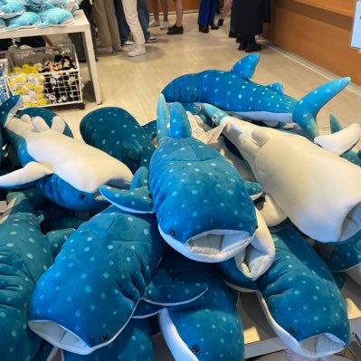 valoRaLto5's profile picture. 07 imo3   @RaLtoSub