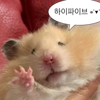 june_developer's profile picture. 개발자의 길을 가려합니다💻 | BE 공부중 | 일상 얘기