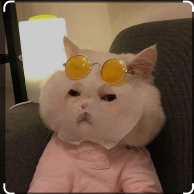PhrommaK's profile picture. 