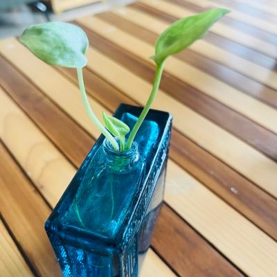 neuron6760's profile picture. rational , observer, learner , stoicism,rtweeting 4 knowledge