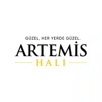 Artemis Halı(@artemishali) 's Twitter Profile Photo