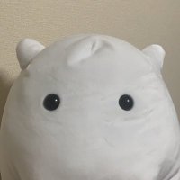 ちょこ (@chocolat__hnt) 's Twitter Profile