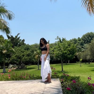 Rex_Cordovaa's profile picture. la vida de un dinosaurio feliz🦖